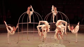 Цирковая студия "Арлекино" (г. Барнаул) - "Птицы"