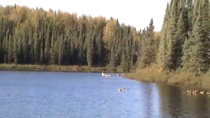 Nancy Lake State Recreation Area Alaska