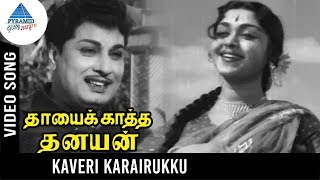 Thayai Katha Thanayan Old Movie Songs | Kaveri Karai Iruku Video Song | MGR | Saroja Devi