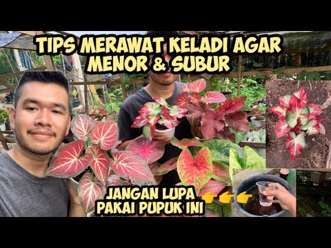 Video: Cara menghilangkan aseton