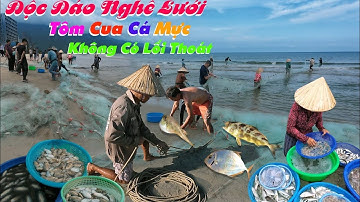 Mời Cô Chú Anh Chị Xem Ngư Dân Ven Biển Đánh Mẻ Lưới Cá Mực Tươi Rói Bán Hết Tại Chổ TP Đà Nẵng