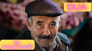 Прекрасное Дуа, Для Наших Родителей, Чтобы Жили Долго Счастлива, не Болели!