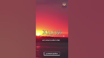 ما تيسر من سورة غافر مشاري العفاسي