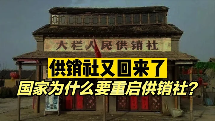 供銷社又回來了！國家為什麼要重啟供銷社？ - 天天要聞