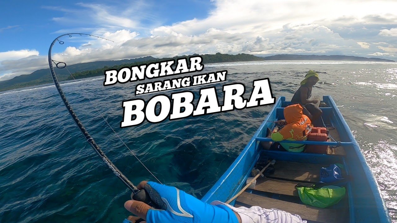 #2 SARANGNYA IKAN BOBARA ADA DI SINI.‼️ JORAN MELENGKUNG DAN REEL MENJERIT 😲