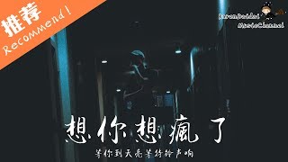 許一鳴 - 想你想瘋了「等你到天亮等待鈴聲響,對著電話說是我是我。」♪ Karendaidai ♪