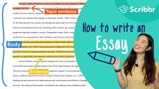 How to Write an Essay: 4 Minute Step-by-step Guide | Scribbr 🎓