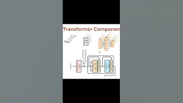 Feed forward networks in Transformers