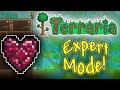 Terraria 1.3 - Expert Mode! (Funny Moments and Fails) [4]