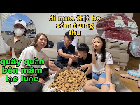 Video ĐI MUA 4KG THỊT BÒ CHUẨN HÀN SẮM TRUNG THU, CẢ NHÀ ĂN... - youtube