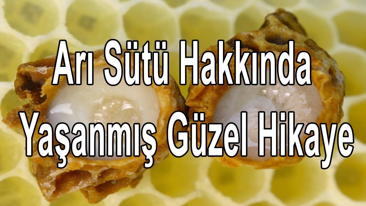 Arı Sütü Nasıl Saklanır Arı Sütü Nasıl Saklanır