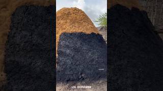 The 20-day process that transformed civilization! 🔥( credits: countryfoodcooking2613) #shorts
