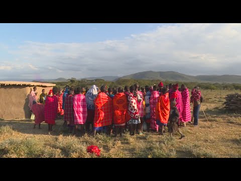 فيديو: الماساي - قبيلة حافظت على تقاليدها بفضل التشدد