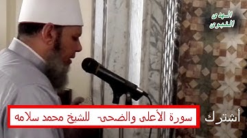 سورة الأعلى والضحى - للشيخ محمد سلامه