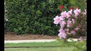 Legacy Home School Golf tournament