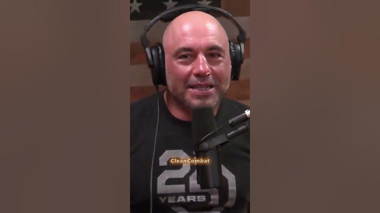 Майти Маус UFC