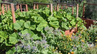 Maintaining Garden and Raised Bed Soil: The Soil and Plant Relationship Master Gardener Series Soils