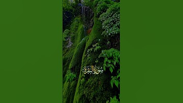 ارح قلبك تلاوة خاشعة #تصاميم_دينية #كرومات #قرآن #ماهر_المعيقلي