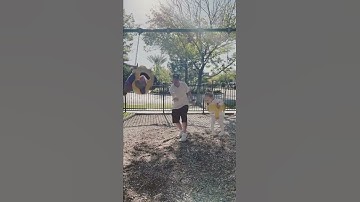 Nick Carter at the park with saoirse and Pearl
