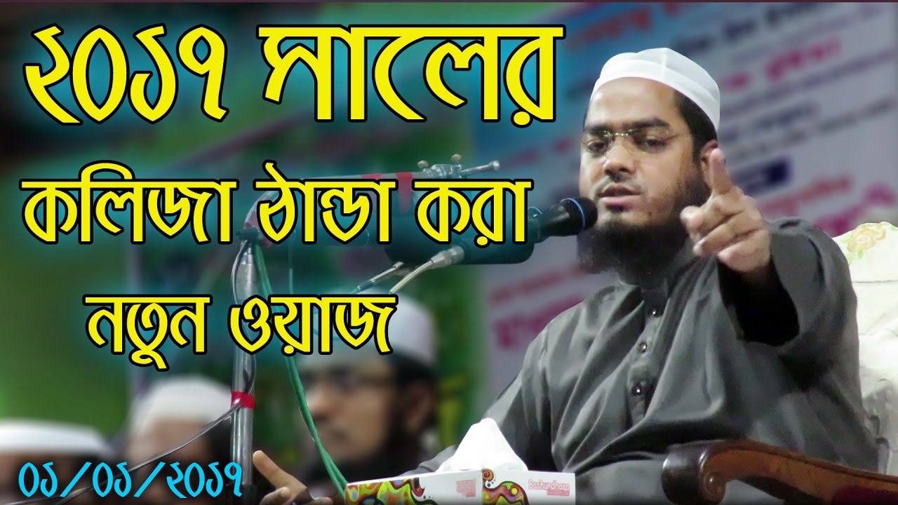 Hafizur Rahman Siddiki Bangla Waz 2017  Bangla New Waz 2017 Kolija Danda Kora New Waz