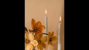 making of pan and zoom effect