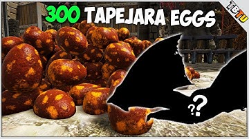 300 Tapejara EGGS! MASS COLOR MUTATIONS! Ark Survival Evolved Mutation Zoo S2E3