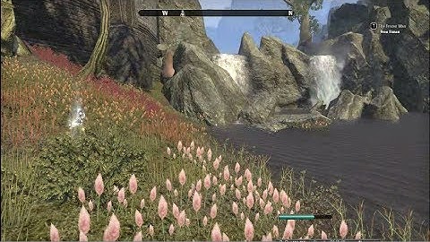 Elder Scrolls Online Farming Alchemy Reagents & Solvents Guide