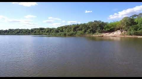 I Lost My Drone to an Alligator || ViralHog