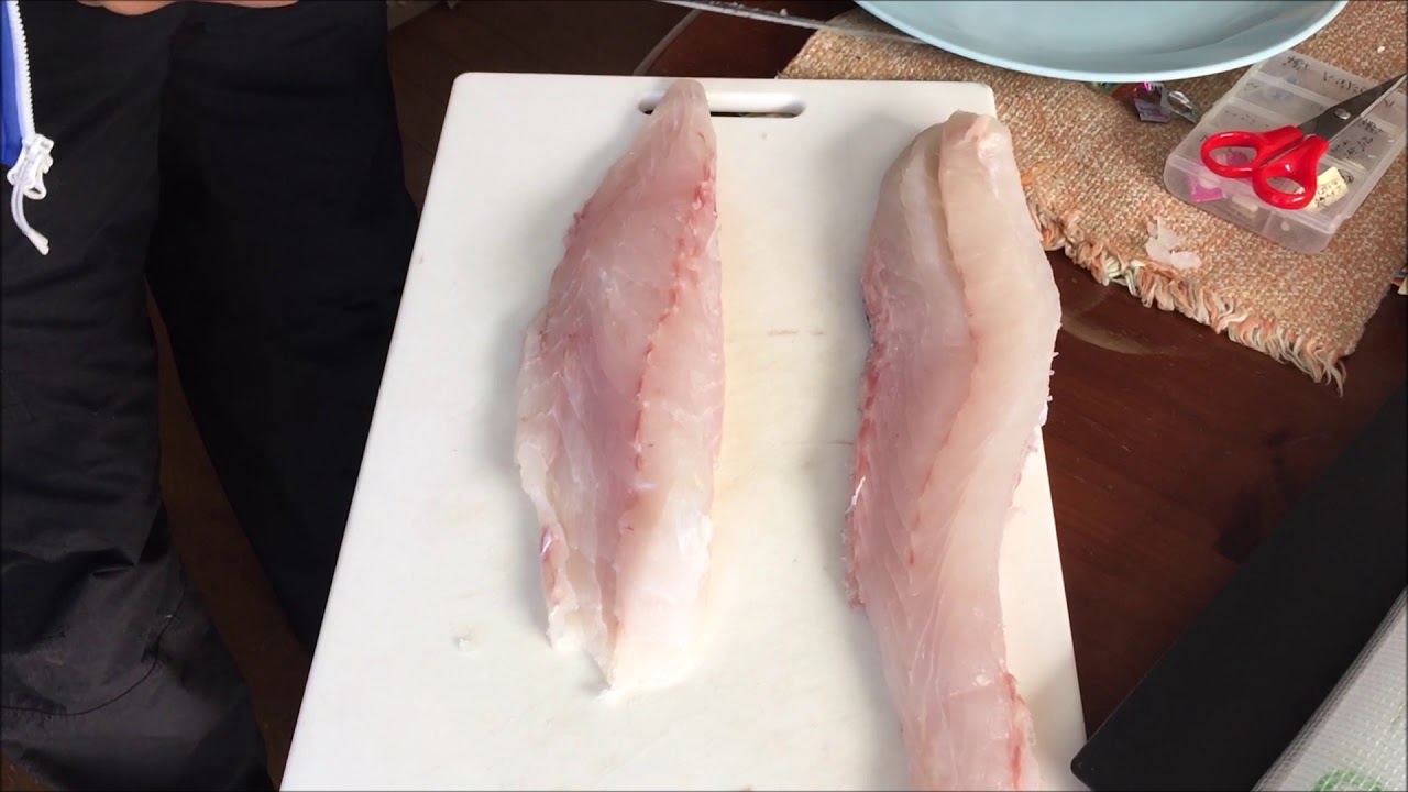 ヨット仲間で一匹9万円の魚 クエ アラ でパーティ 福岡県福津市 One 90 000 Japanese Yen Longtooth Grouper Fukutsu Shi Japan Youtube