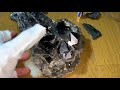 トライゴーニック チベットモリオン黒水晶クラスター