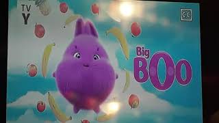 Sunny Bunnies Theme Song