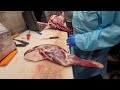 Howto venison shoulder roastbonein knife only