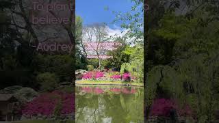 #Spring brings so much visual feedback in a #garden