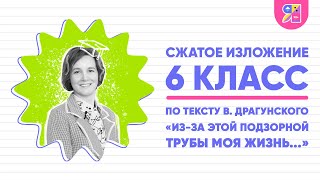 Сжатое Изложение «Из-За Этой Подзорной Трубы Моя Жизнь Превратилась В Такое Мучение!»