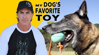 My Dog's Favorite Toy is... Ball, Tug or ME?