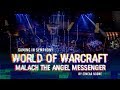 World of warcraft warlords of draenor  the danish national symphony orchestra live