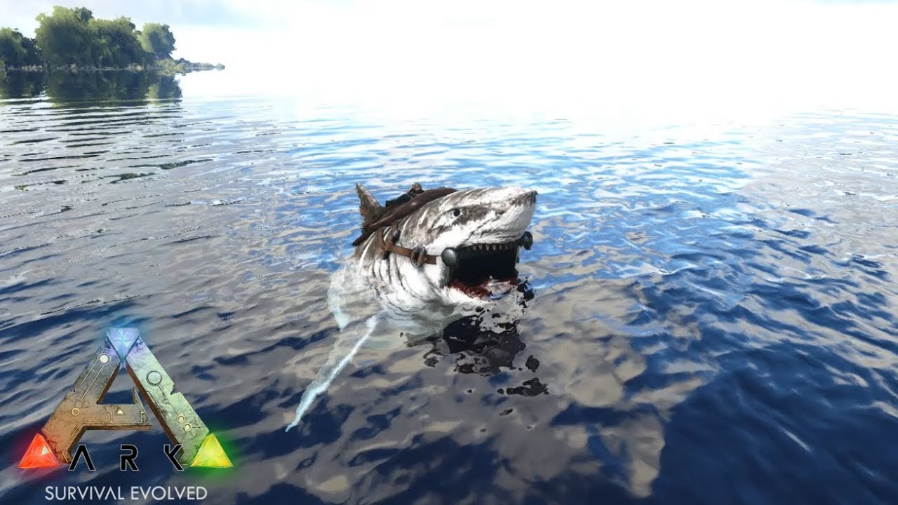 27 Ark Rag S4 家宝決定 厳選メガロドン 待望のiv白黒カラー Pc版公式pve Ark Survival Evolved Youtube