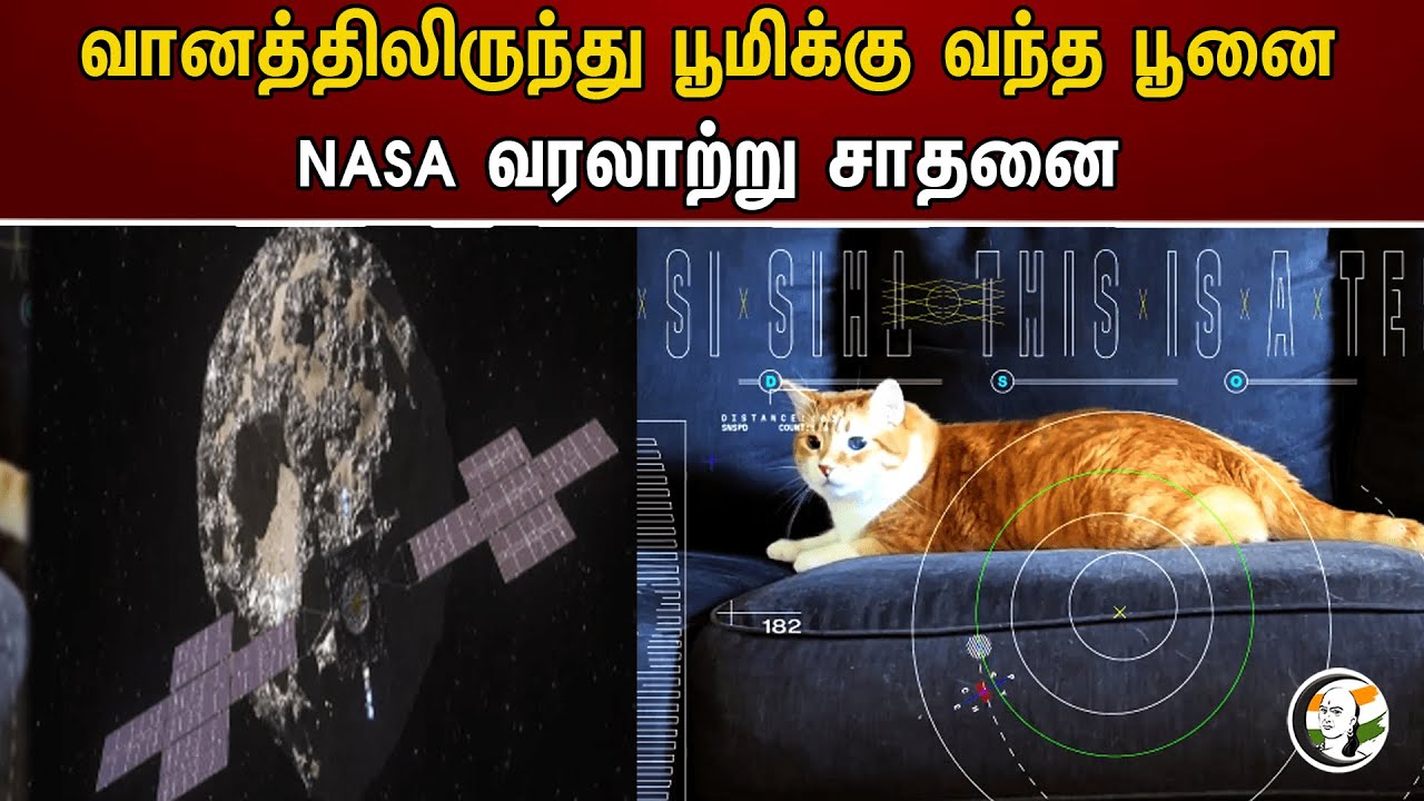 வானத்திலிருந்து பூமிக்கு வந்த பூனை! NASA வரலாற்று சாதனை | NASA | America