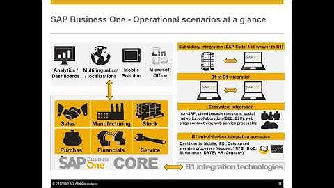 SAP Business one   (B1) overview