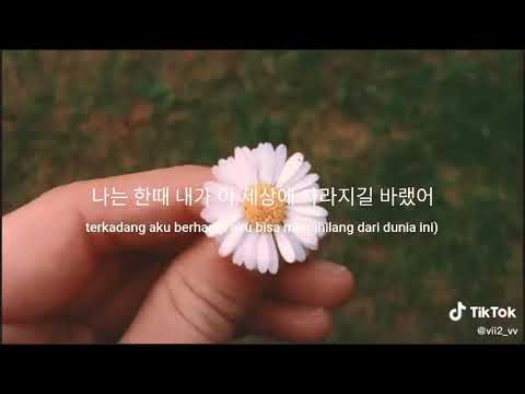 اروع أغنية كورية هادئة