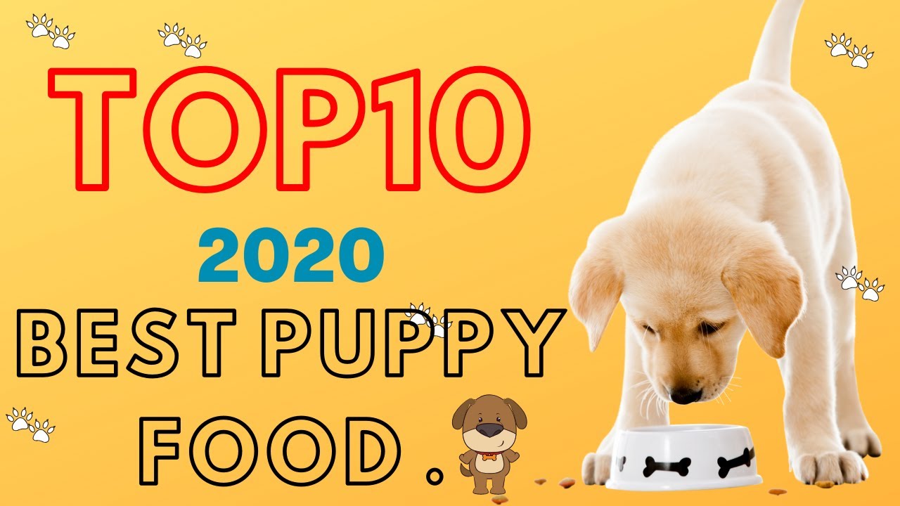 Best Dog Food for Puppy in 2020 | Top 10 Best Puppy Food. - YouTube
