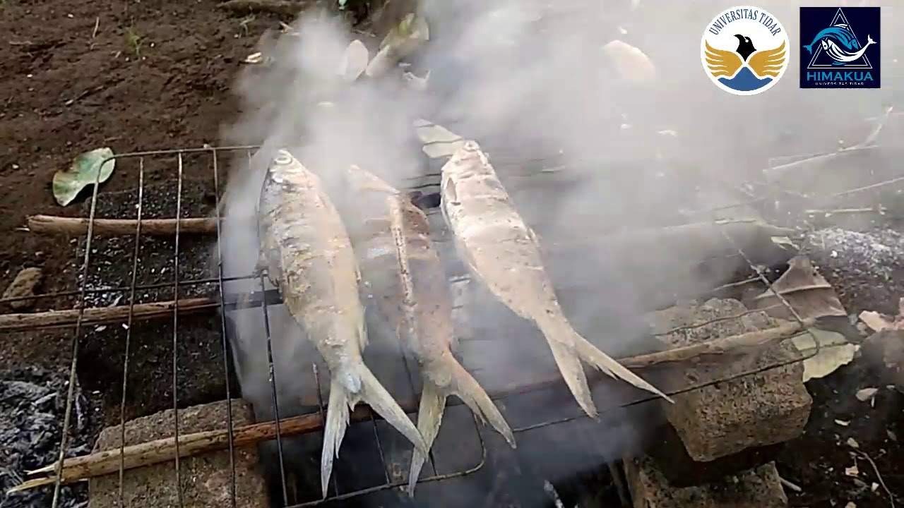 TEHNIK PENGASAPAN IKAN (Ikan Bandeng) // MUDAH DAN SUKSES - YouTube