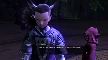 Gridania Opening 04 - Beckon of the Elementals