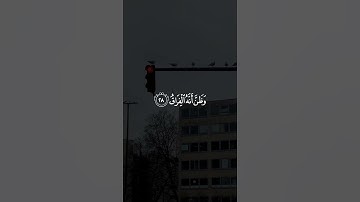 تلاوة خاشعة جميلة بصوت مشاري العفاسي ارح سمعك #مشاري_العفاسي #اكسبلور_فولو