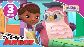 Klinika dla pluszaków | Pora Kąpieli