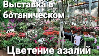 Выставка в Ботаническом саду Санкт-Петербурга / ФЕСТИВАЛЬ БОТАНИЧЕСКИЕ КАНИКУЛЫ