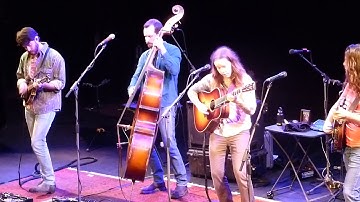 Billy Strings "Must Be Seven"