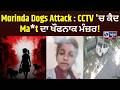Stray Dogs ਦੇ ਆਤੰਕ ਨੇ ਕਿੱਤਾ 9 ਸਾਲ ਦੀ ਮਾਸੂਮ ਨੂੰ Khatam! | India News Punjab