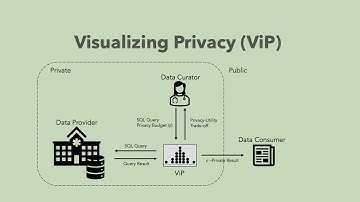[9C] Visualizing Privacy-Utility Trade-Offs in Differentially Private Data Releases