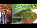 فوائد المورينجا - Benefits of moringa